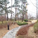 신도시제일공인중개사사무소 이미지