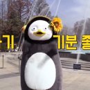 감성더하기스튜디오 이미지