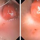 이도메디컬 이미지