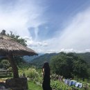 상규 목장 | [서울 근교 여행/당일치기 여행 추천] 서울에서 춘천 해피초원목장