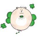 토실배기 이미지