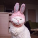 이정헤어 - 전주시 덕진구 | 이정헤어