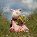 디저트&구움과자 이미지