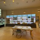 도그마루 강아지고양이 인천논현점 이미지