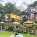 포포애견펜션 이미지