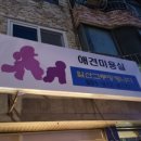 일산그루밍캐나다 | 정발산동 애견미용 양지마을 앞 일산 그루밍캐나다
