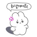 비본어뉴