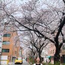 이유영 카카오 검색결과
