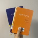 사랑 후에 오는 것들 오마주 작품, &lt;냉정과 열정 사이&gt;