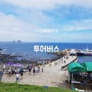 제주도뚜벅이여행, 제주버스여행패키지 상품 총정리편 이미지