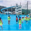 멘토 태권도 이미지