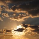 내고향국밥 이미지