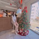 녹원빌딩 | 대전 둔산동 미용실 추천 시청 근처 온소헤어 완벽했던 염색 후기