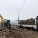 영지2농장 이미지