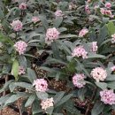 광일농원 이미지