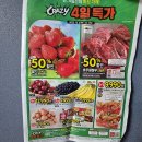 봉에프엔비(동탄점) | 12월 4일 홈플러스 Crazy 4일특가 세일 정보 및 방문 후기
