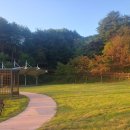 송이밸리자연휴양림 이미지