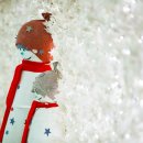 별빛랜드 이미지