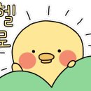 영스킨샵 - 성북구 돌곶이로 95 | 영스킨샵