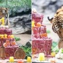 우리나라 이미지