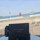 커피스미스울산정자 | 울산 정자 오션뷰 브런치카페 코브 후기, 아이랑 가기 좋은 오션뷰 맛집