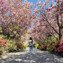 만수노인복지원 이미지