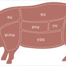제이에스두드림