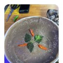 신사랑 매운갈비찜 이미지