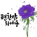 양지3교 이미지
