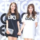 스텔라 이미지