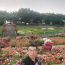 장미원 당구장 Daum카페