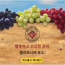 포도상점