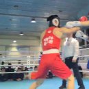 광주화랑권투 이미지