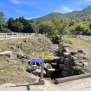 큰언덕목장 이미지