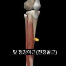 요가디야 이미지