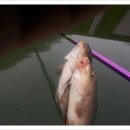 활주로낚시터 이미지