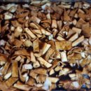 우현튼튼태권도장 이미지