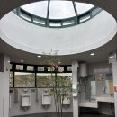 자연숲 | 🌲제주도 최고의숲, 겨울 절물자연휴양림 방문후기 (숙소 소요시간)