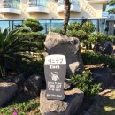 토리돈까스 이미지