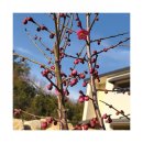 시인공간 이미지