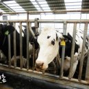 동서목장 이미지