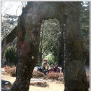 아랫도리 이미지