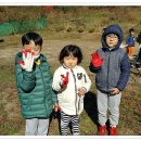 관기초교 병설유치원 이미지