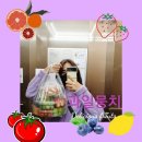 과일뭉치