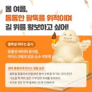 지방추출주사 365mc 고속터미널다이어트로 지방제거해요