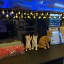 코코코인노래연습장 이미지