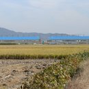 봉성농장 이미지