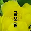 야은로-26 이미지