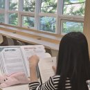 책나무 잠실송파국어독서학원 후기