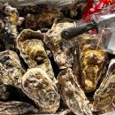 통영굴찜 이미지